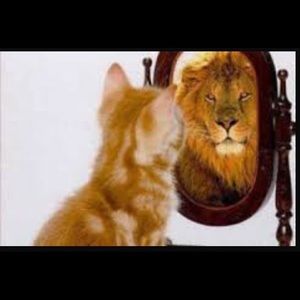 Meet your Posher, Rosa